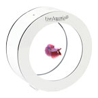 LiveAquaria® O Series Betti Aquarium Kit with Premium Halfmoon Dragon Scale Betta Male LiveAquaria® O Series Betti Aquarium Kit with Premium Halfmoon Dragon Scale Betta Male