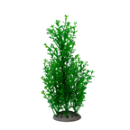 LiveAquaria® 8" Secure-T Mid-ground Plant