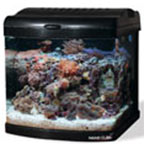 Fan-Cooled Nano Cube Aquariums