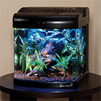 Nano Cube Next Generation LED Aquariums