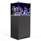 JBJ Rimless Flat Panel AIO 45 Gal. Aquarium