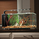 JBJ Flat Panel Peninsula Rimless Desktop Aquarium