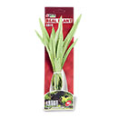 Azoo Real Plant Artificial Echinidorus amazonicus - Green