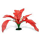 Azoo Real Plant Artificial Echindorus osiris - Red