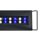 Current Orbit Marine IC LED System with Wireless Lighting & Pump Control