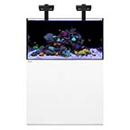 WATERBOX REEF 100.3 +PLUS HD EDITION WHITE 