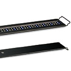 Current USA Satellite Freshwater LED+ Fixture