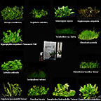 Tropica® 1-2-Grow! Easy Care Plant Packs