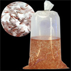 Live Adult Brine Shrimp