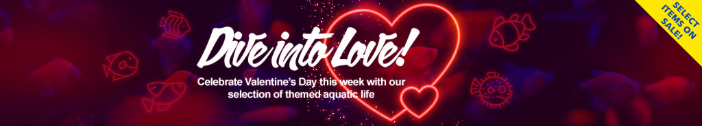 Sea of Love