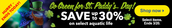 Last chance to save some green on St. Paddy’s Day offers