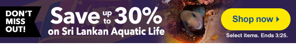 Up to 30% off Sri Lankan fish & inverts