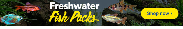 Our Freshwater Fish Packs save you money
