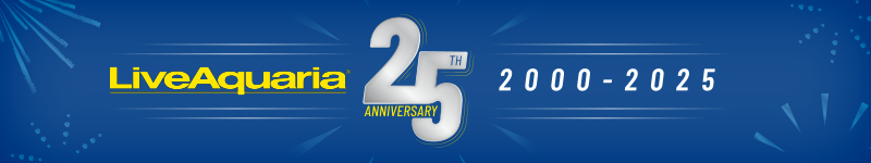 25th Anniversary Favorites