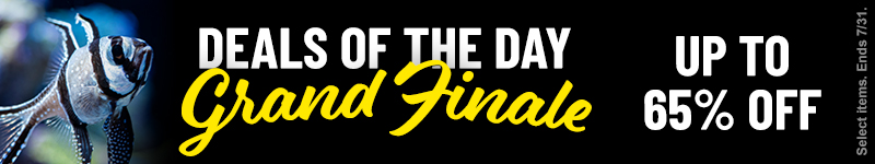 LiveAquaria Deals of the Day Grand Finale