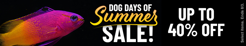 Dog Days of Summer Sale