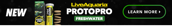 Introducing ProtoPro tablets that resolve freshwater Ich