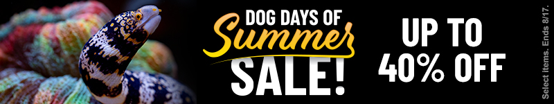 Dog Days of Summer Sale