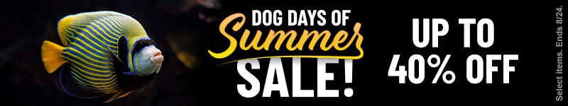 Dog Days of Summer Sale