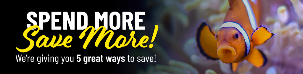 Earn a 15% Rebate Form
