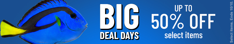 Big Deal Days Sale - Save up to 50%
