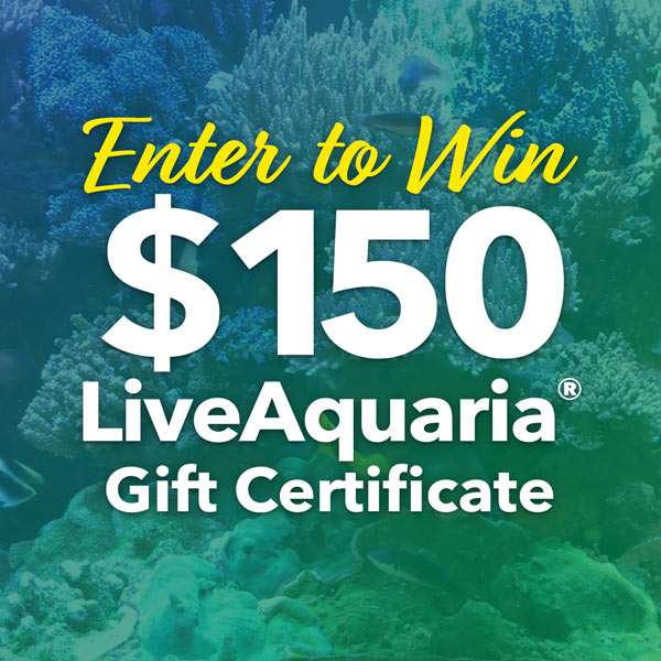 LiveAquaria October Giveaway 150 LiveAquaria Gift Certificate