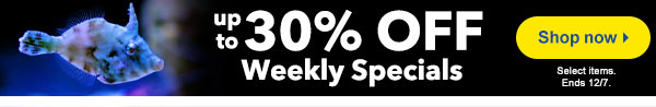 Save up to 30% on Weekly Specials!