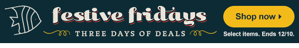 Festive Fridays