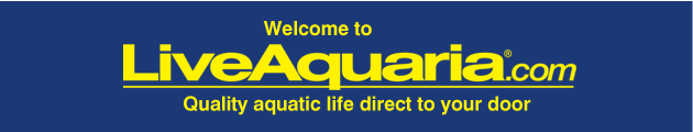 LiveAquaria.com