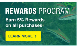 Rewards Program