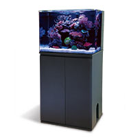 Aquariums, Stands and Canopies