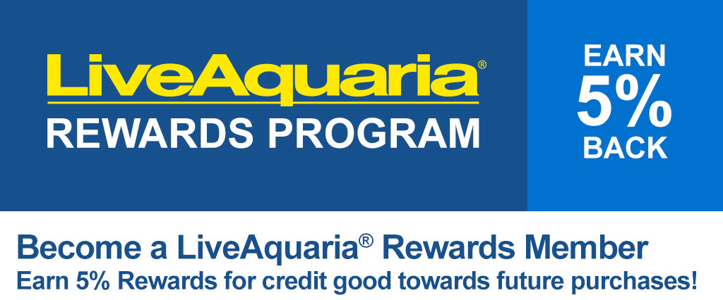 Rewards Program