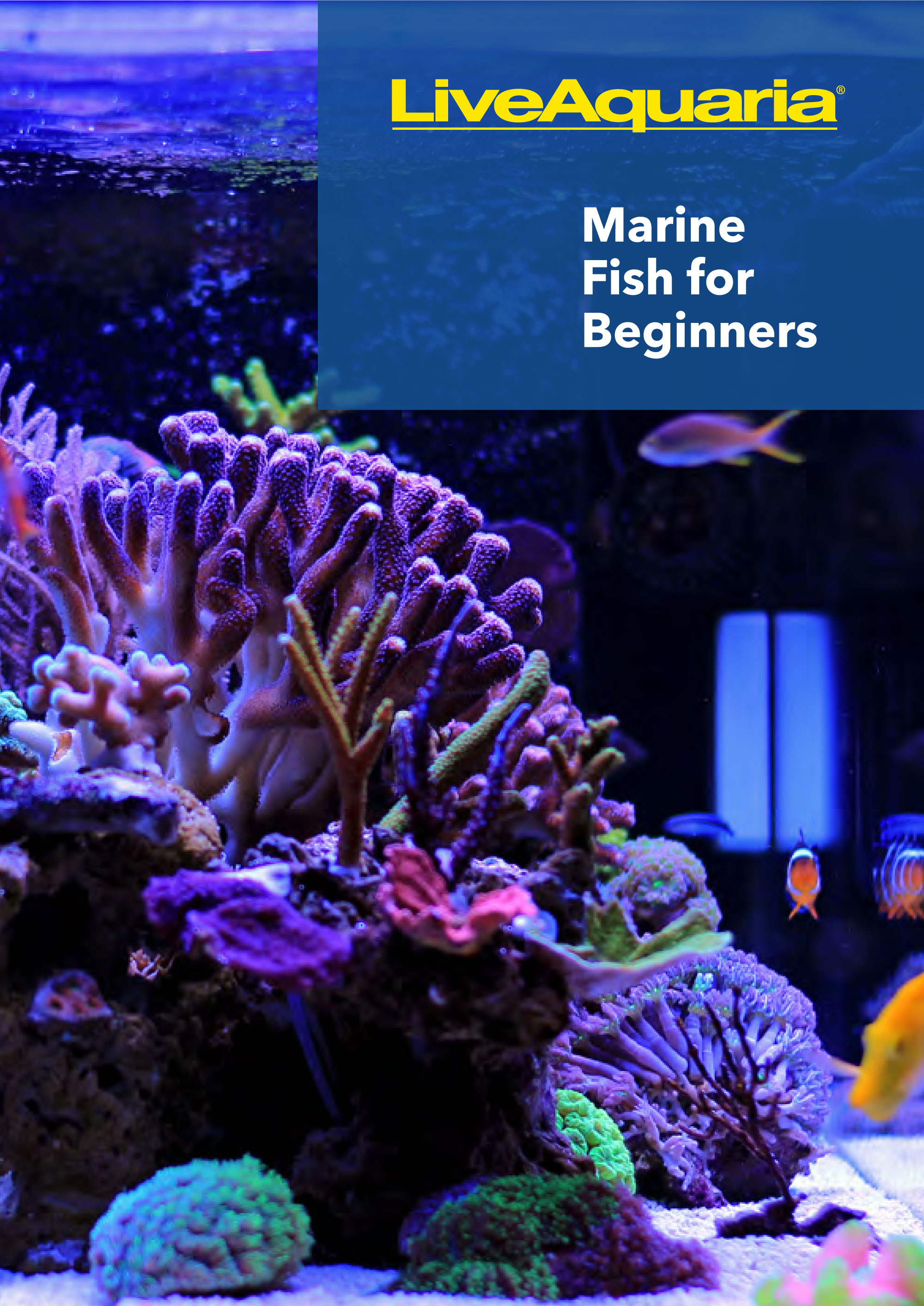 LiveAquaria eBooks Download one of our FREE eBooks containing expert