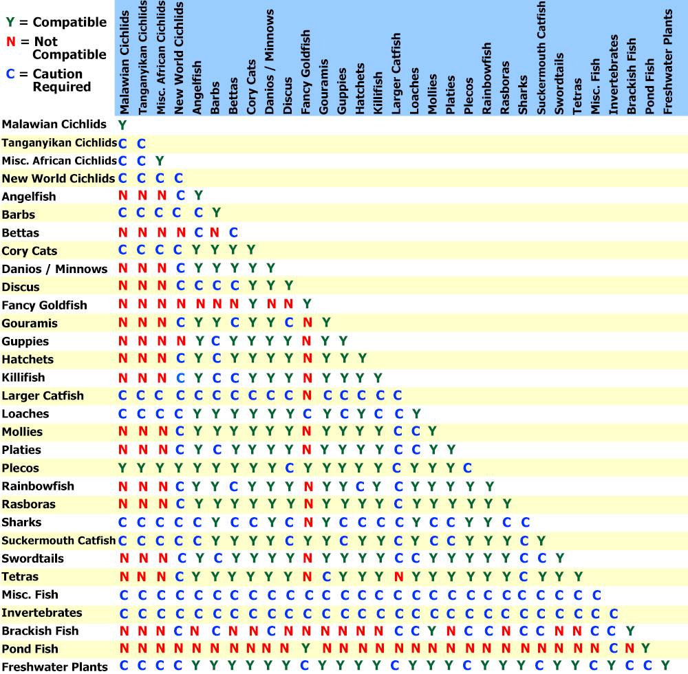 Freshwater Fish Compatibility Chart