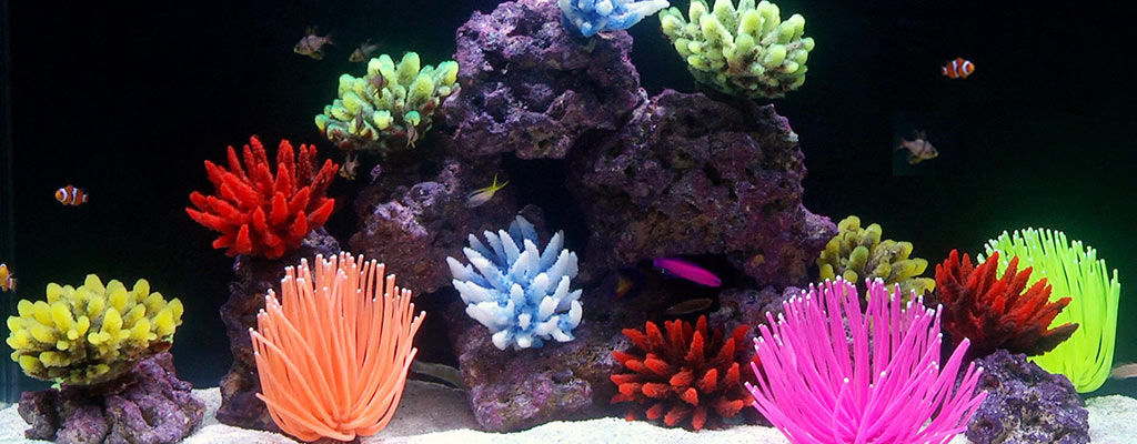 saltwater fish tank equipment