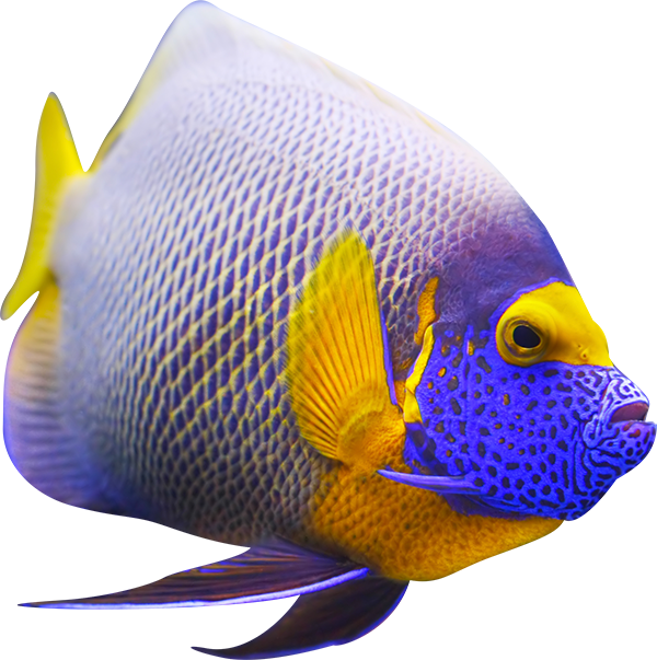 LiveAquaria ProtoPro Saltwater Sign Up