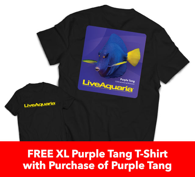 Free T-Shirt