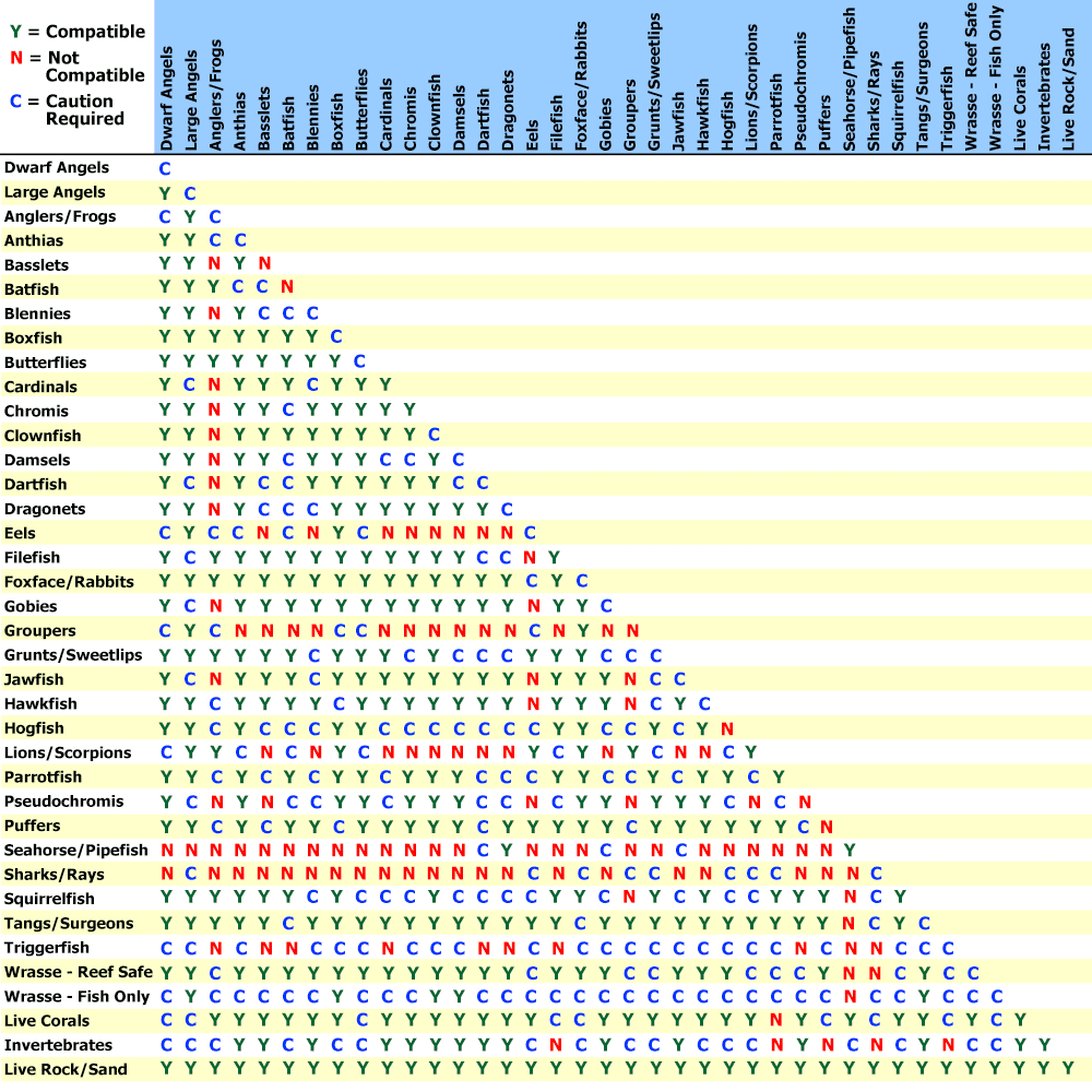 Saltwater Fish Compatibility Chart