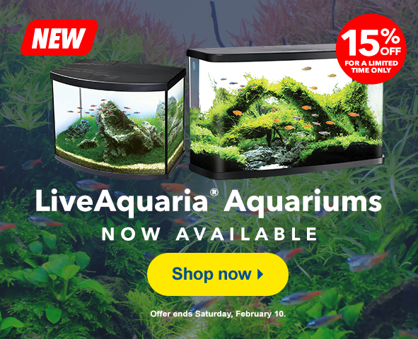 LiveAquaria  Quality Aquarium Fish, Supplies & Equipment