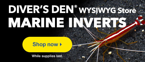 Diver's Den Marine Inverts