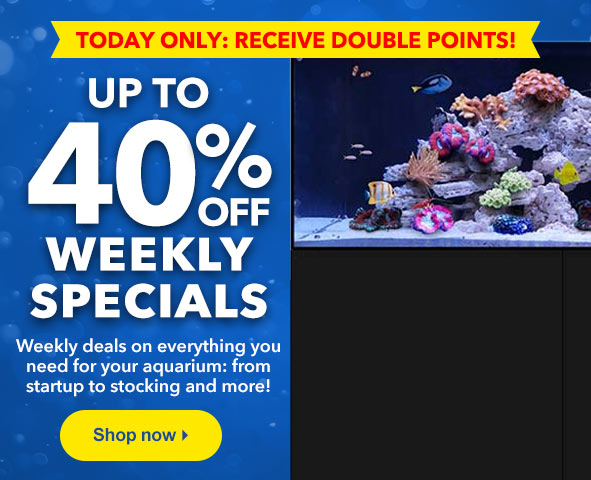 Up to 40% Off Weekly Specials