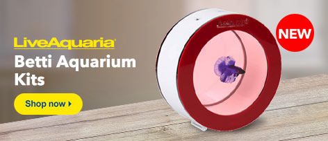 LiveAquaria Betta Aquarium Kits