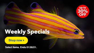 Up to 30% Off Weekly Specials