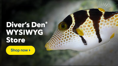 Diver's Den WYSIWYG Store