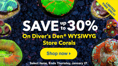 Diver's Den Corals
