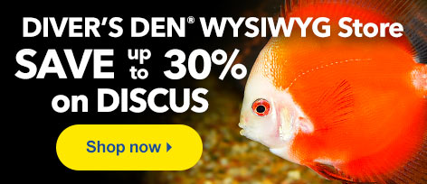 Diver's Den Discus