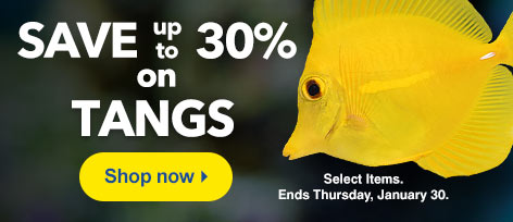 Save up to 30% on Tangs