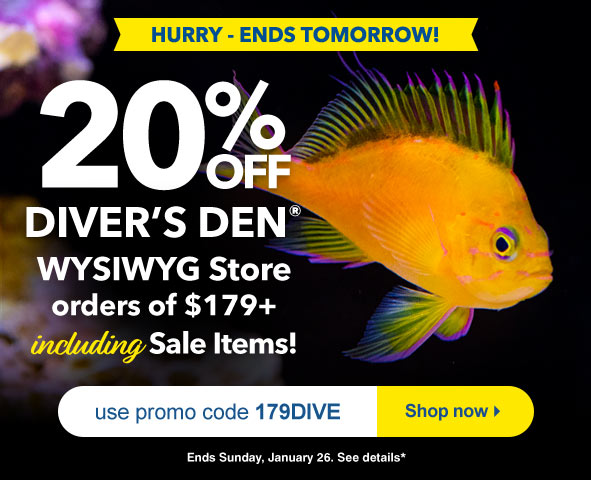 Save 20% on Divers Den orders $179+