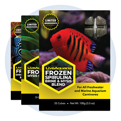 LiveAquaria  Quality Aquarium Fish, Supplies & Equipment