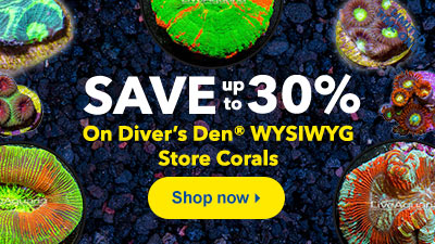 Diver's Den Corals
